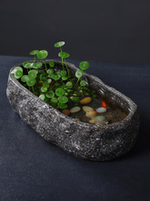 ڏoˮɻմ˯ɏɏش̖ˮ໨B~~׻