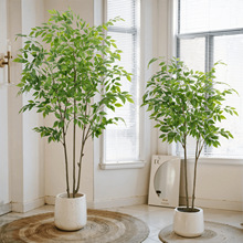 ���b�������Ř����ԾƵꙻ��������ؔ[���b٘�[������Gֲ