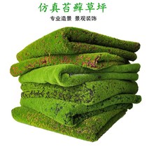 ������̦��Ƥ�Gɫ�����ƺֲ�����΢���^�辰�b�̦�\ֲ�q��Ƥ