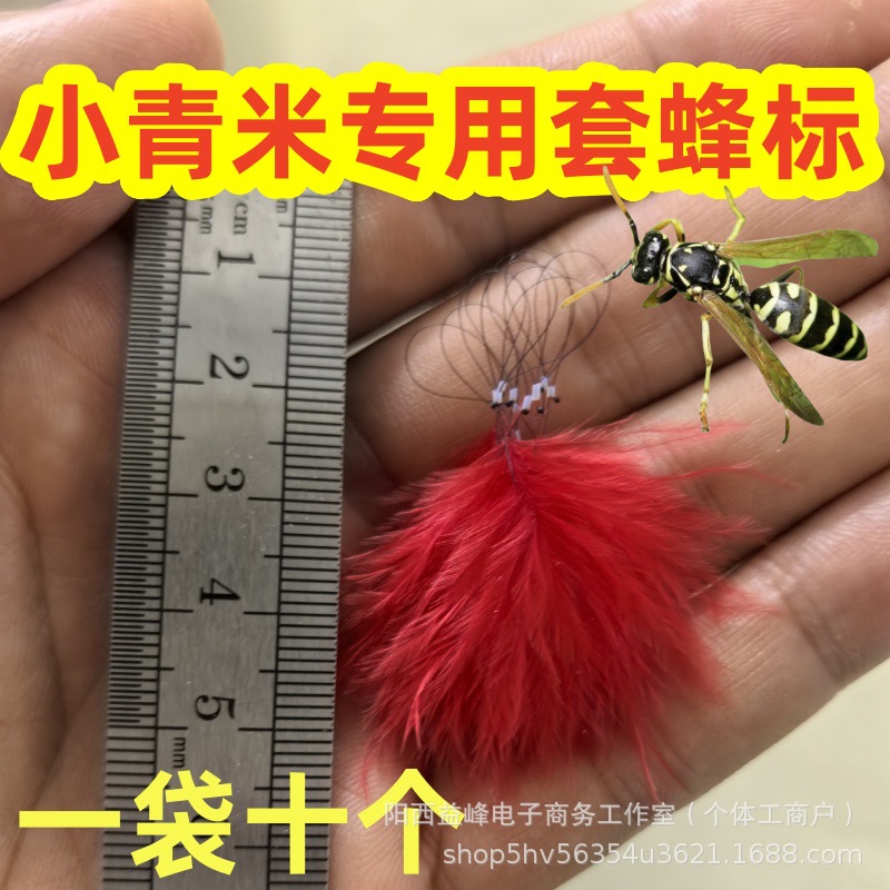 微信图片_20241104210919_副本