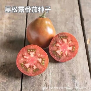 ����¶���ѷN�Ӵ��ﲥ�N�̨�����߲˹Ϲ��N�ӑ����׷Nֲ���ѷN��