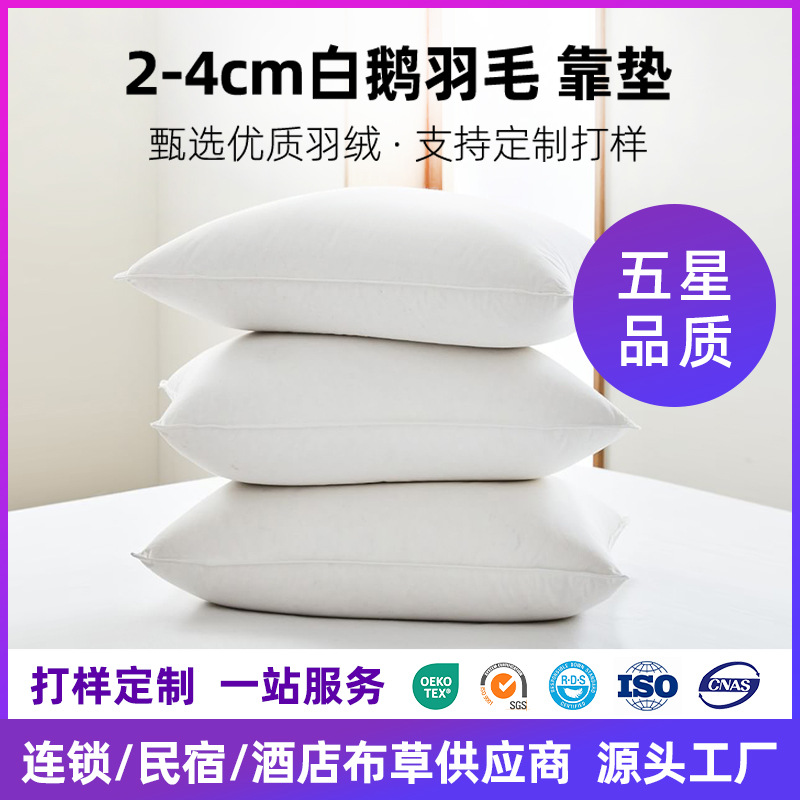 Customized Pillow Cushion 2-4cm White Goose down Goose down Cushion Wholesale Hotel Sofa Back Cushion Lumbar Cushion