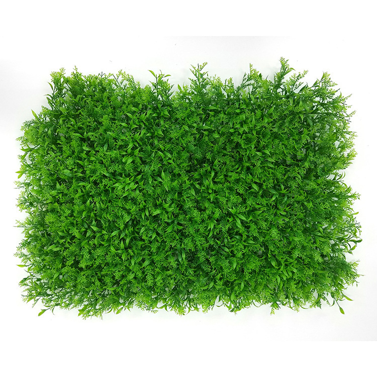 Hoja de semilla de melón