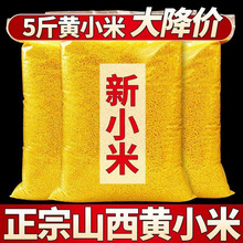 ɽ���r���SС����������������s�Z��ŴС���r���S�׮����¼Z5��1