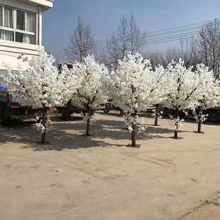 ��ɫ����ѻ����c���T�����ٻ�������滨���S������ؔ[�O