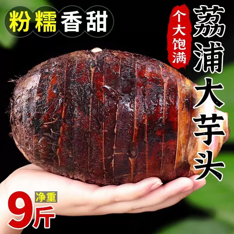 正宗广西荔浦大芋头新鲜现挖农家蔬菜桂林槟榔芋香芋软糯特产