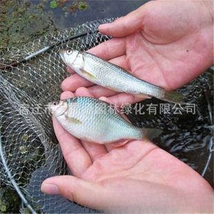 �S��ֱ�N�ӵ����B �~ �r ˮ������ �������� ˮ���~ ���B�B�~