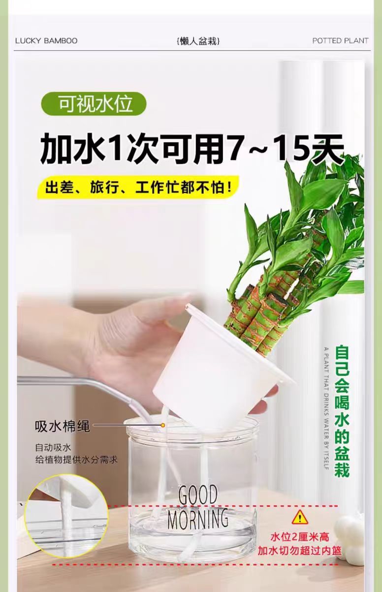 0304f86f-1e59-4f6f-ab52-8912b5dac627.jpe