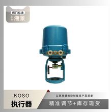 KOSO-371RSC-30 ��������Ť��300Nm������FISHER�aƷ��ꐽ�����