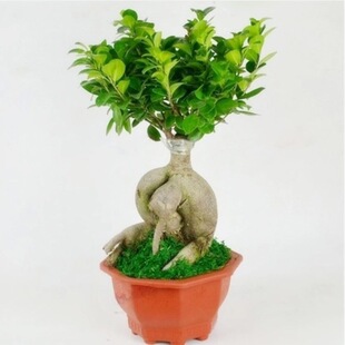 �ļ������ͺ��Ř����͘䘶�辰���҃�ֲ���˅���С�~�Ř����ԾGֲ