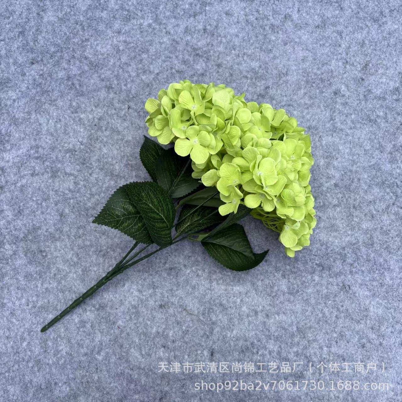 연한 초록색