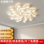 亚克力全屋客厅组合吸顶灯