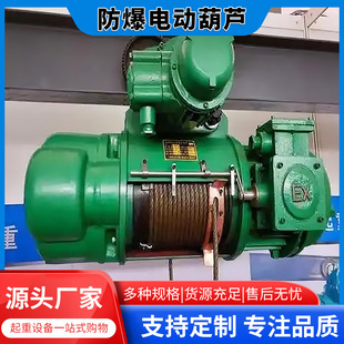 Wire Rope Electric Hoist Single and Double Speed Car 1 Ton 5 Ton Gantry Crane Accessories Wire Rope Explosion-Proof Electric Hoist