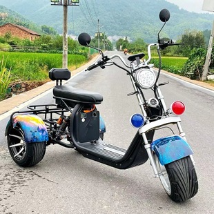 出口大型60v折疊老人電動三輪車時尚雙人鉛酸鋰電池代步車供跨境