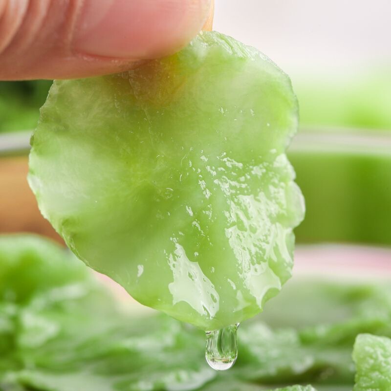 乾燥レタス 業務用農家産乾燥レタス 500g 乾物グレード 特産品 乾燥野菜 グリーンレタス ネストレタス クリスピー|undefined