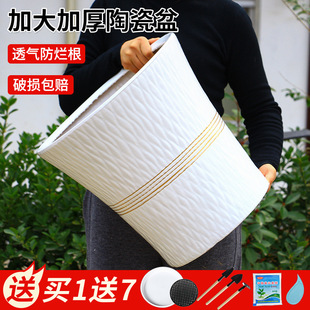 �մɻ����ڏ����ֵ�؎��бP���s��ɫ�͏d������ԼӺ�Gֲ����