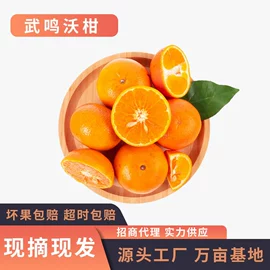 其他水果;番薯类;柚