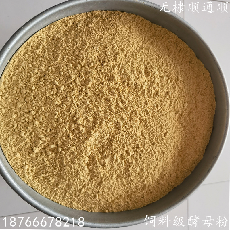 饲料酵母粉 饲料添加级酵母粉 量大价优 货源充足