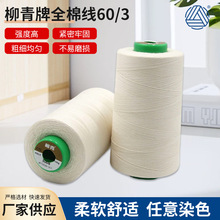 ȫ޾60/3 F؛lٿpxƽ܇߅]px