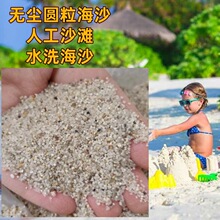 海沙厂家批发无尘圆粒沙 人工沙滩用造景沙 儿童游乐场水洗海沙