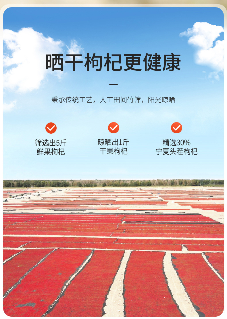 Premium Ningxia Goji Berries 250g Jar Dried Wolfberry Gou Qi Zi Grade A preparation