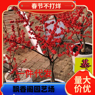 һ�����l�M�ڱ����������Ԏ��t���͹������������r���ͺ����ܱ���