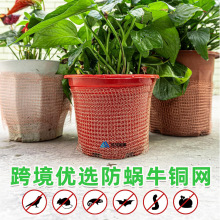 跨境亚马逊6m/12丝蜗牛铜网 双层防虫过滤网防虫鼠保护园林铜丝网