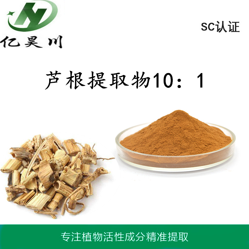 芦根提取物厂家10:1 全水溶芦根粉 植物提取物现货包邮量大从优
