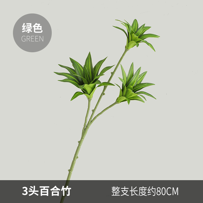 백합 대나무 3개 - 녹색