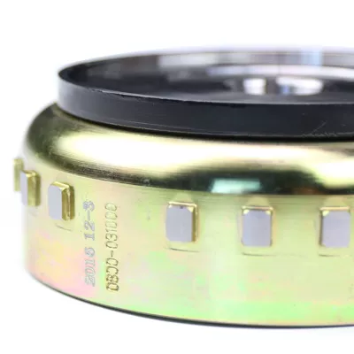 Applicable to spring breeze Motorcycle engine and accessories - magnetic-steel-0800-031000-small-power-117mm