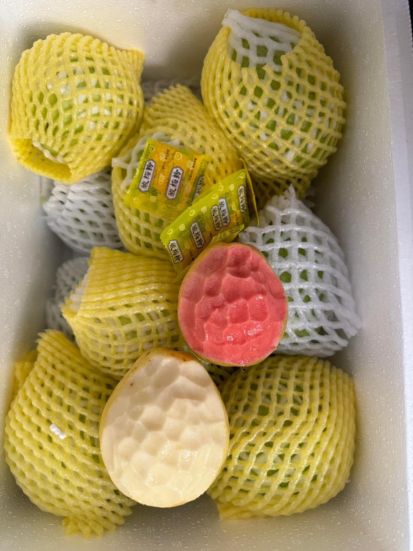 微信图片_20251119212842_280_10