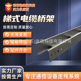 厂家生产大跨距梯式钢架电缆桥架电线走线镀锌