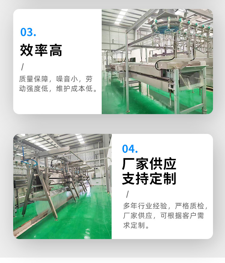 鸡屠宰流水线_06.jpg