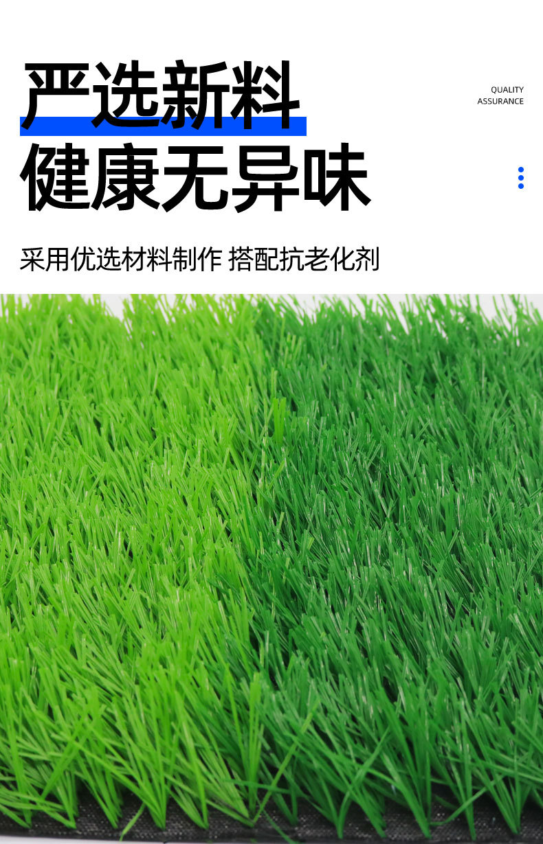 运动草坪详情_04