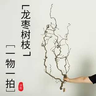 �������֦��֦��Ȼ��ɲ廨�쾰��ʽ�U������L�������͸ɘ�֦