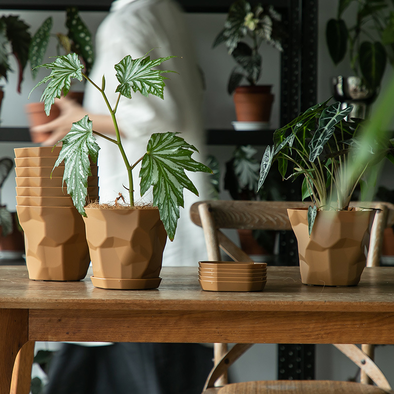 Macetas de Plástico para Suculentas, Estilo Nórdico, Varios Tamaños, Control de Raíces, Transfronterizo