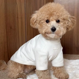 狗狗服装;宠物帽子;宠物围巾