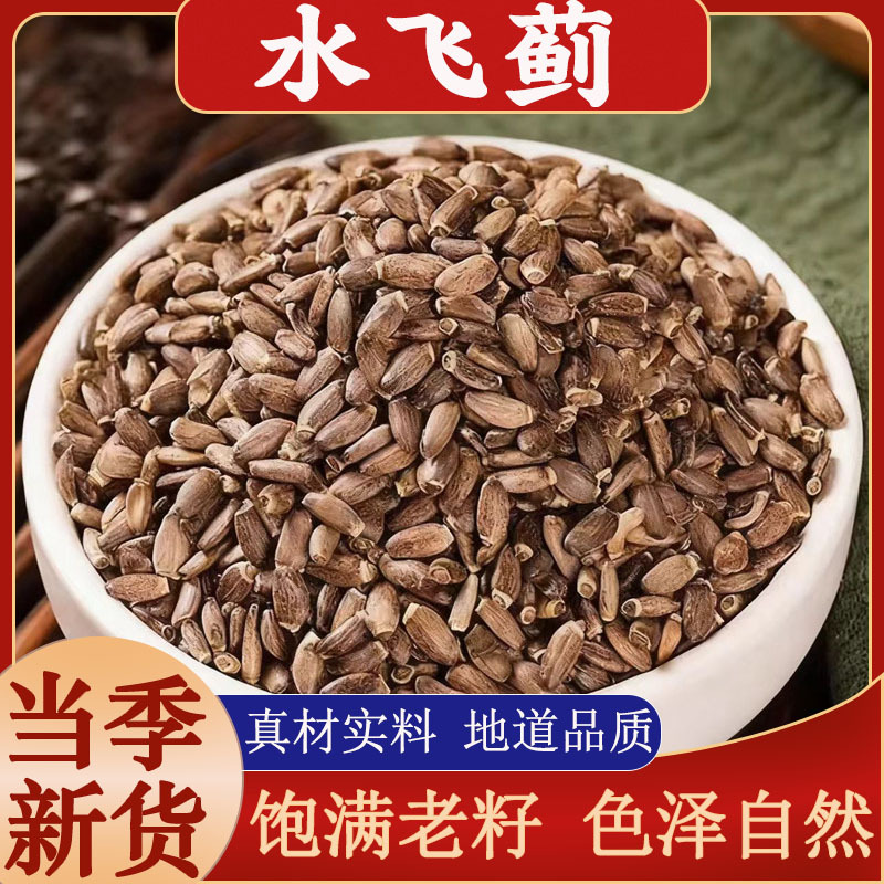 水飞蓟中药材奶蓟草水飞蓟籽水飞蓟子种子水飞蓟果新货水飞蓟泡茶