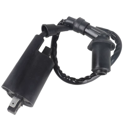 For V-Star250/XV125/XV250/Virago Route66 YAMAHA motorcycle ignition coil (Alovlanma bobini (Babinalar))