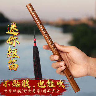 Mini Piccolo Flute Without Membrane Hole Transverse Flute Student Entry-Level Bamboo Flute Beginner Kidsren Adult Musical Instrument Female Portable Small Flute
