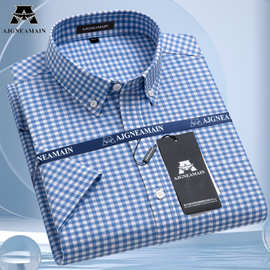 2025春秋新款男士长袖衬衣中年磨毛职业工装免烫格子正装衬衫衬衣