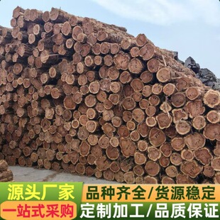 �����tѩ�� ��ľ�۲�ľ�� �t�İ� �tѩ��ԭľ��ľ�۲� ���l���ľ