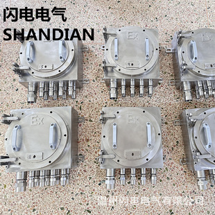 Non-Standard Customized 304 316 Stainless Steel Explosion-Proof Wiring Box Ct4T6 Maintenance Box Switch Box Power Control Box