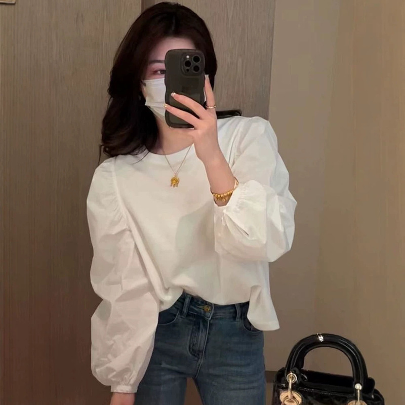 Spring and Autumn New Long-Sleeve T-Shirt, New Women's Loose Casual Fashion Stylish Puff Sleeve Top Trendy Clothing Spring and Autumn New Long-Sleeve T-Shirt, New Women's Loose Casual Fashion Stylish Puff Sleeve Top Trendy Clothing