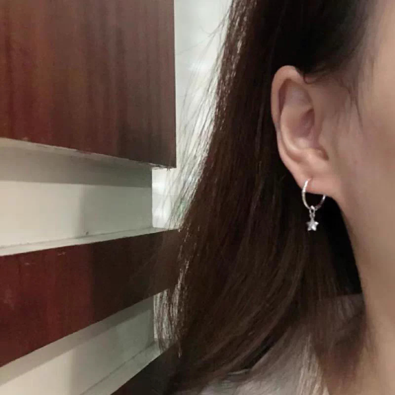 Exquisite Star Hoop Stud Earrings For Women Light Luxury Design_voghion.com