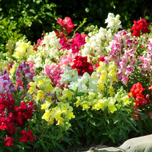 ~ݻN^ͥԺ̨^pܷNļN׻