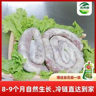 ���ɹ��Lζ���c����  �����W���c �������ƌ���ʳ��