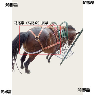 �R���R�g�Rƥ�R�\�^�R�����R���|���Rβ���Rβ���Rβ���R�؎�ǰ��