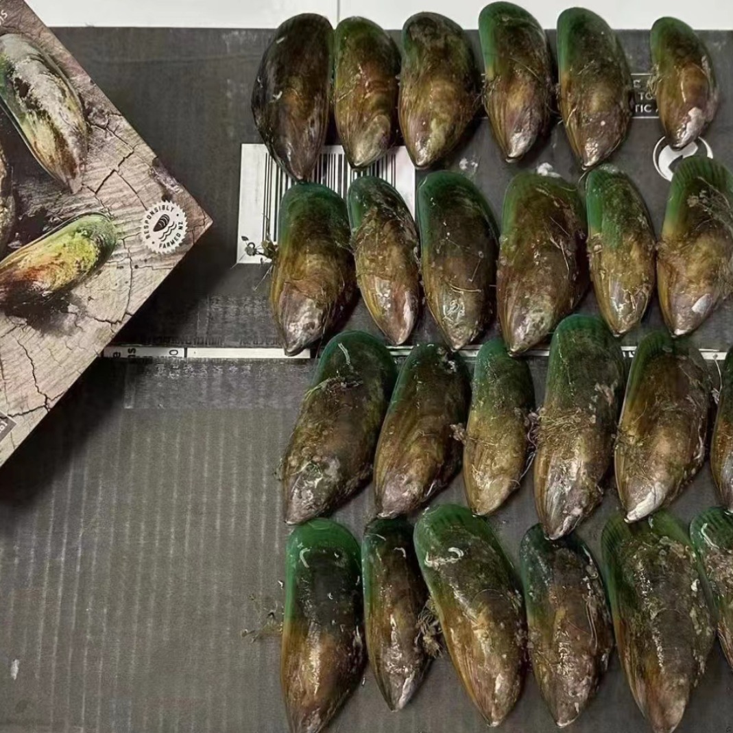 新西兰原装冷冻青口贝 新鲜绿壳全壳青口贻贝整箱10kg商用 西餐料