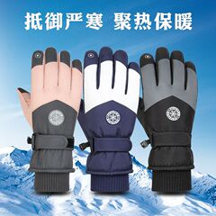 Gloves Women's Winter Touch Screen Ski Gloves Outdoor Waterproof Windproof Warm Cycling Gloves Velvet Mountaineering Foreign Trade